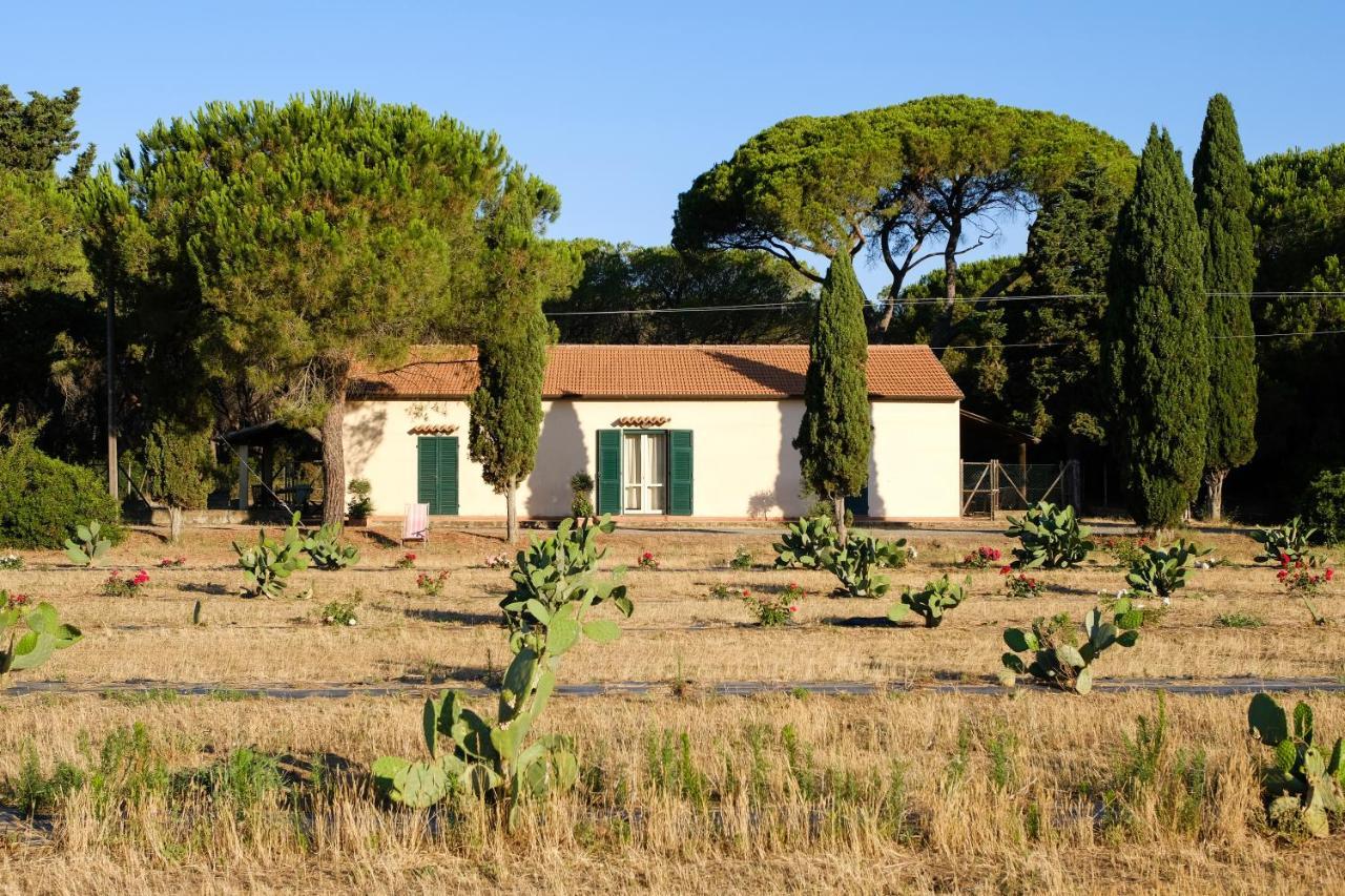 Residence La Canova II Grosseto Kültér fotó