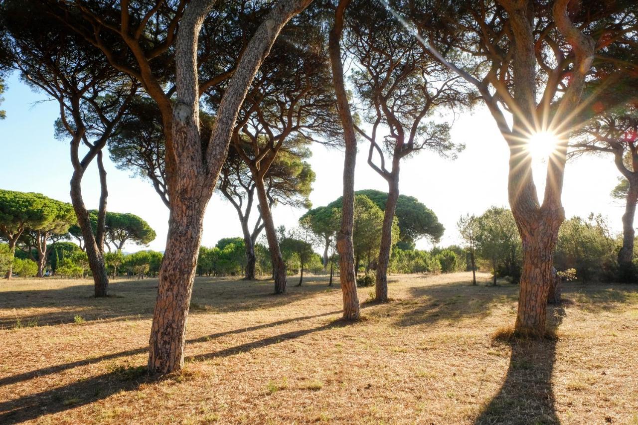 Residence La Canova II Grosseto Kültér fotó