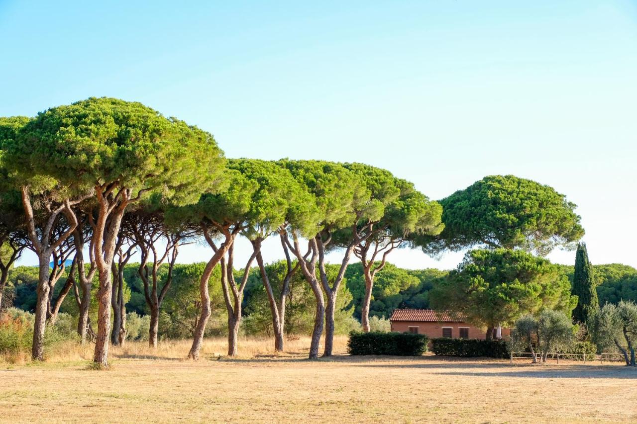 Residence La Canova II Grosseto Kültér fotó