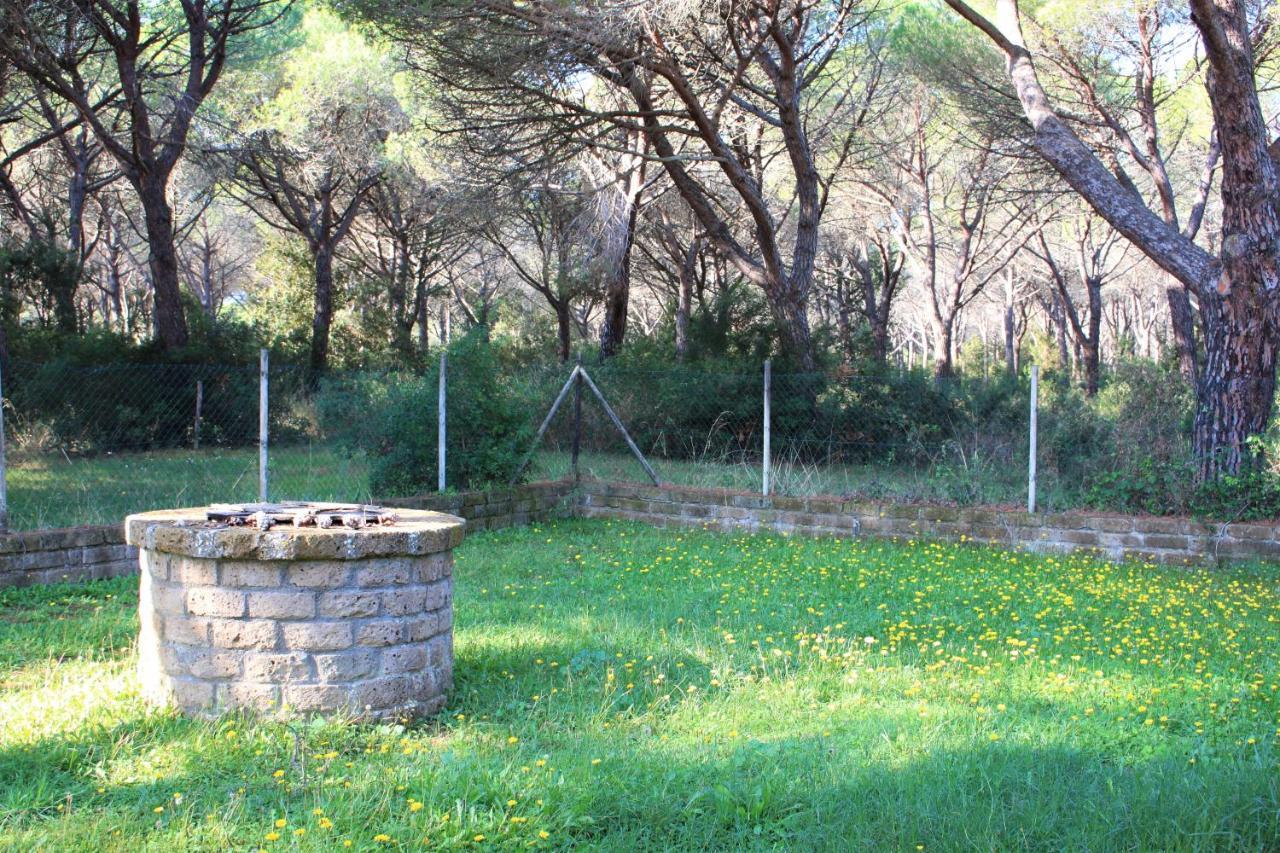 Residence La Canova II Grosseto Kültér fotó