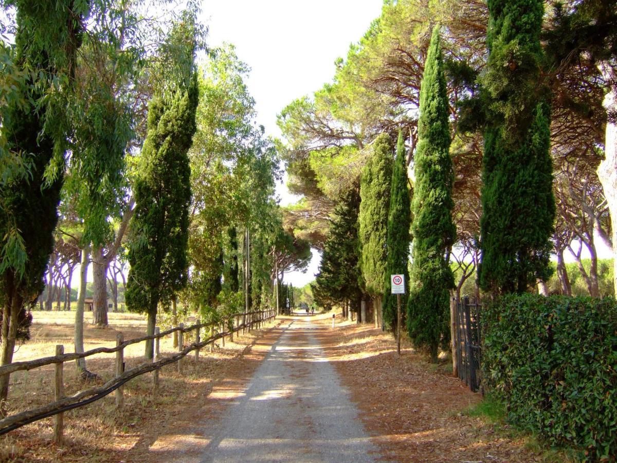 Residence La Canova II Grosseto Kültér fotó